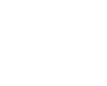 Steenvlinder